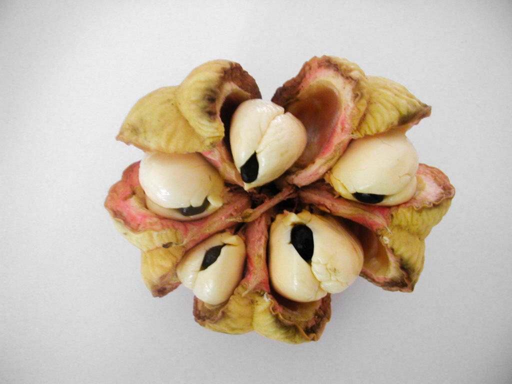 Rare 5 pod ackee