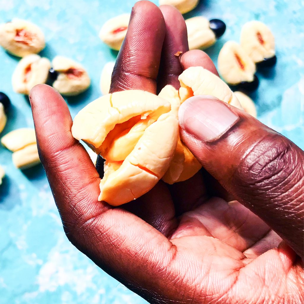 Where to buy ackee?