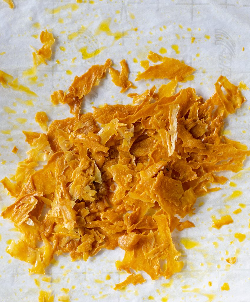 Vegan Cheese Powder – Dehydrating Ackee